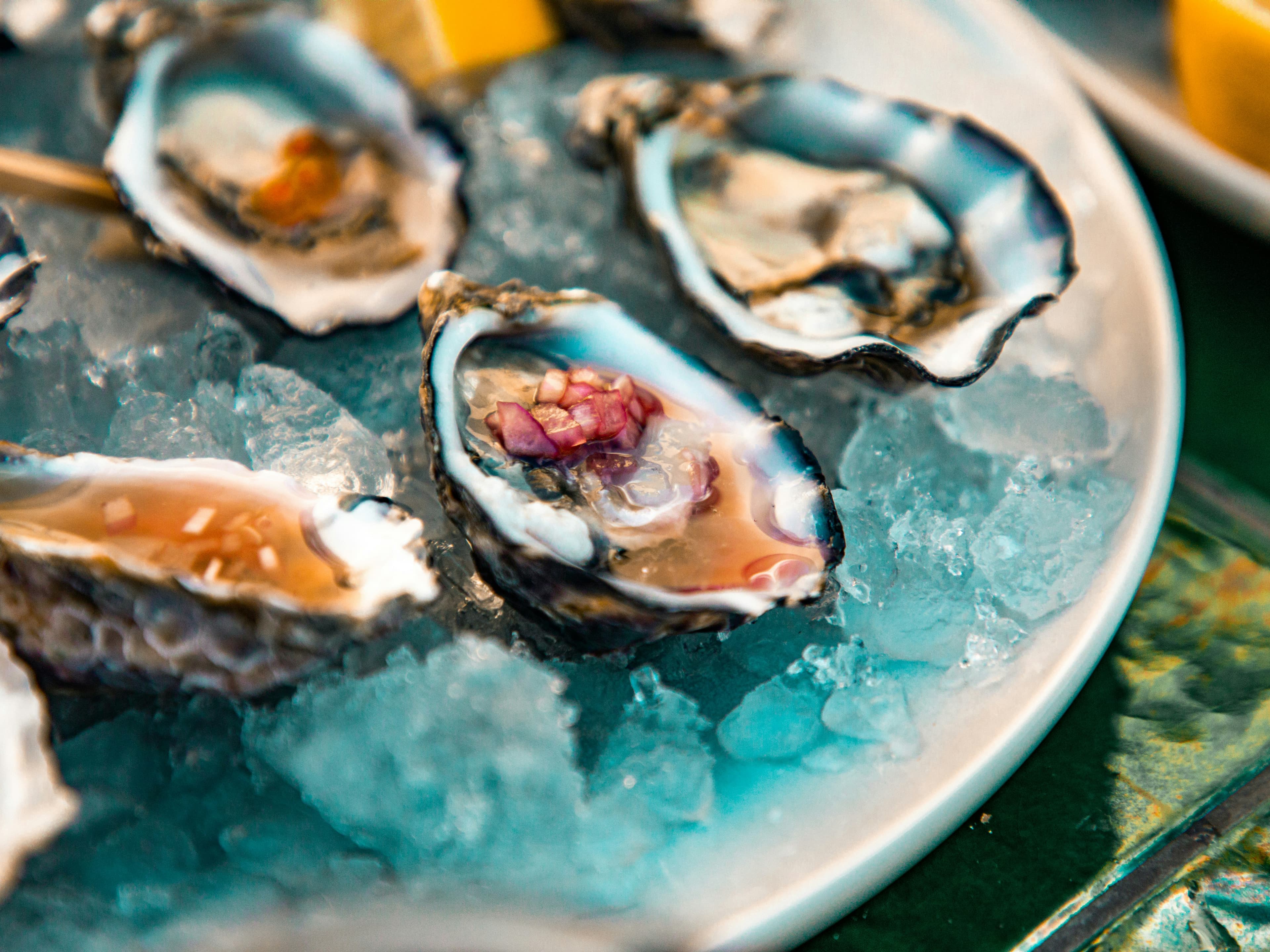 Thermal Inactivation of Norovirus in Oyster logo
